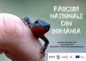parcuri nationale